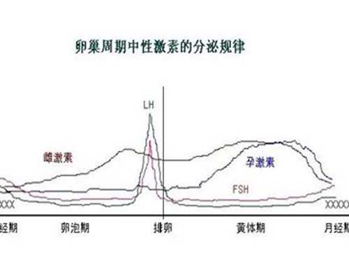 神级古玩大师小说,白羊男和双子女谁虐谁双子毁白羊