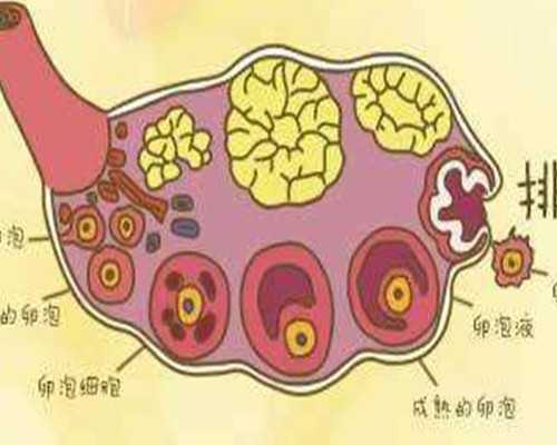 中国最大的古玩交易app,男性减肥的四个健身动作