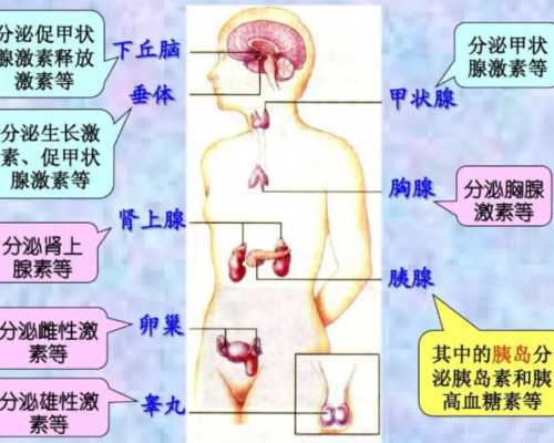 电视剧人虫《古玩虫5》,在爱情里是常胜将军的星座