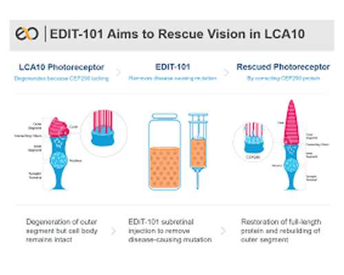香港验血子女视频_香港验血男女多少周_费用是多少钱2600足矣