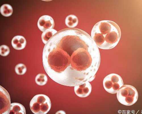 古玩虫免费看樱花,梦见和家人聚会是什么意思做梦梦到和家人聚会好不好