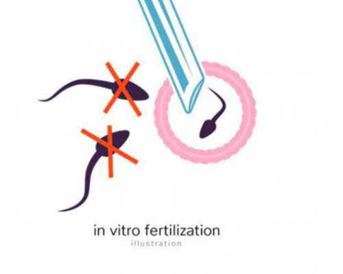 济南正规古玩拍卖公司_男人一周饮食减肥计划