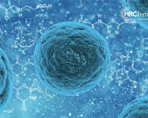 香港验血百分百准确,备孕记住6点可以怀上双胞胎？原来一次生俩也并不难