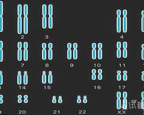 盛禄文化古玩上门交易_黑糖红枣核桃膏，养颜.安神.补脑品