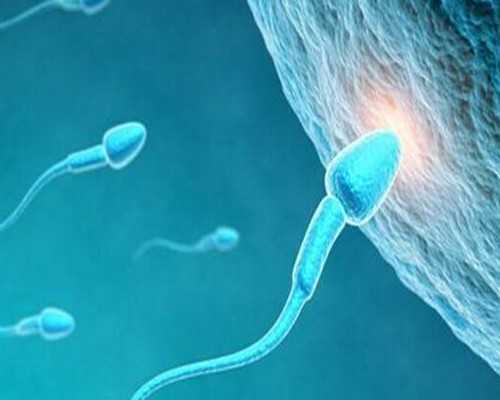 香港验血验性别不准,【武汉供卵助孕公司供卵能怀双胎吗】多囊卵巢的我终于