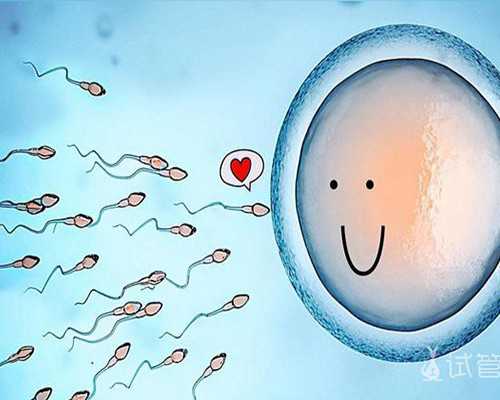 验血寄到香港要几天顺丰,16周香港验血测胎儿性别准吗_详细的步骤都在这!