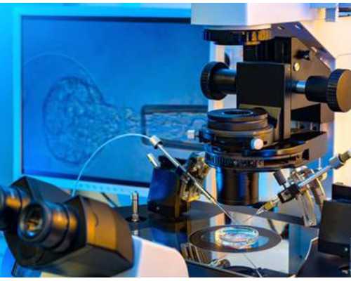 香港验血间隔多久,引产3个月去香港验血男女_查性别真的准确吗!