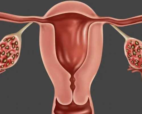 香港验血如何寄血,李亚男“透漏”怀女宝，怀孕多久看出性别？试管婴儿可以