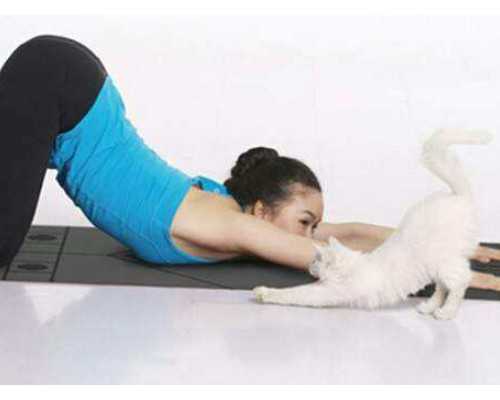 古玩鉴定软件扫描,梦见鼻子