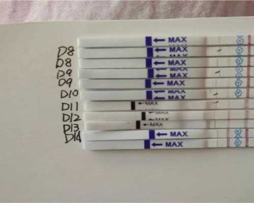 香港验血一定要8周吗_7周抽血女孩生了男孩，2020验血之旅流程公开科普！