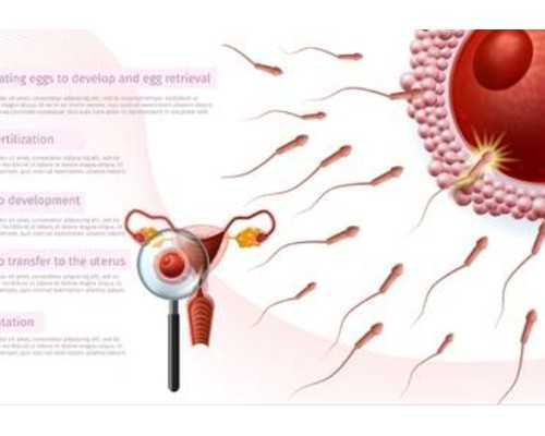 香港验血查男女权威机构,[山西试管婴儿]原创你们备孕的时候是怎么了解备孕这