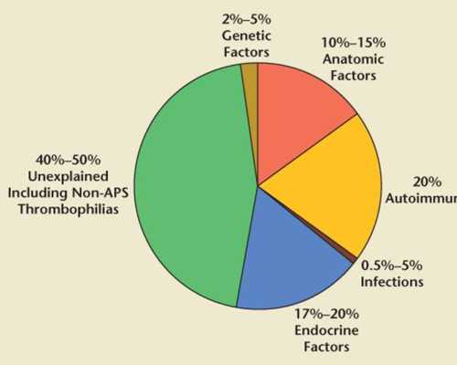 去香港验血查胎儿准吗,借卵做试管生子私立医院选择哪个好