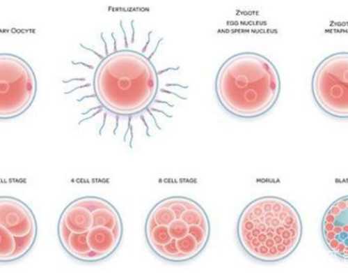 古玩市场图片及价格,梦见昏迷