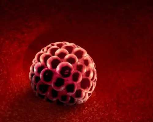 贾似道的古玩人生txt下载,12星座如何度过没有情人的情人节