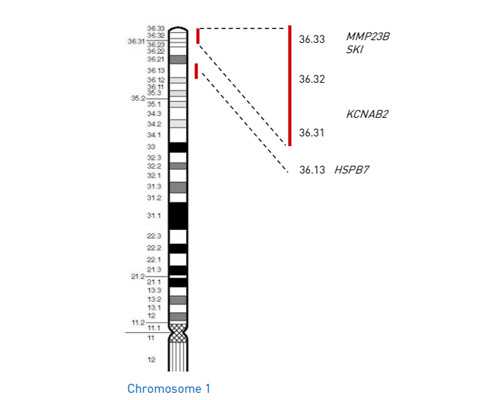 安徽到香港验血几天,女性卵巢早衰如何备孕