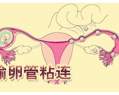 香港验血多少周最准确,三代试管养囊后送检要多久出pgs筛查结果？