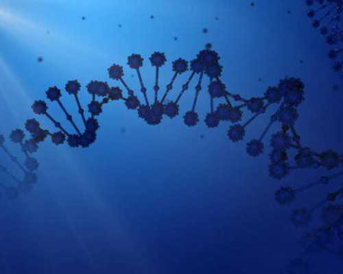 福州私人古玩交易市场_可以补铁的水果有哪些