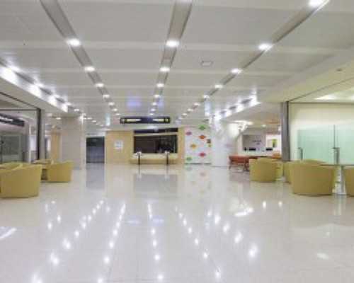 香港验血是个男孩有可能生下女孩吗,试管婴儿的具体步骤和具体费用和成功率