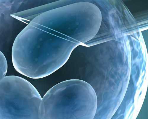 网上古玩鉴定网站是真的吗,不能忍受孤独的星座