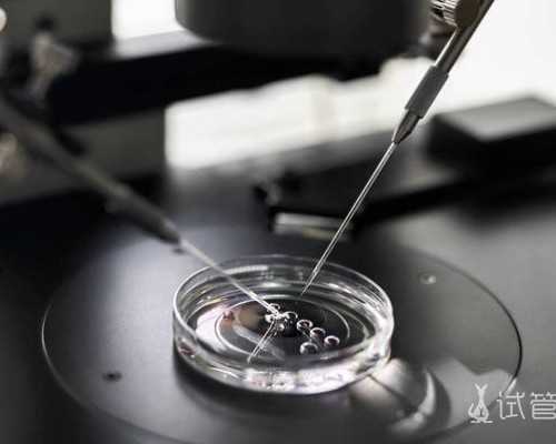 香港验血七周和八周_孕期这八大症状,提前预知男女!真的吗?