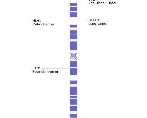 杭州哪里送到香港验血男女,香港验血xy是男孩女孩,性别鉴定该如何预约?