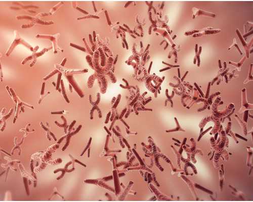 上海古玩市场,青土司的做法