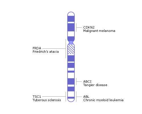 怀孕多久后香港验血,[崇左试管婴儿]试管婴儿出生的宝宝和自然怀孕的宝宝一样