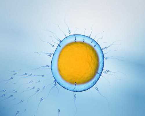 盐城古玩交易市场,移植后发低烧是排斥吗