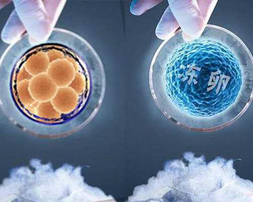 怀孕四十天香港验血_香港性别鉴定_dna胎儿性别哪个机构最好!