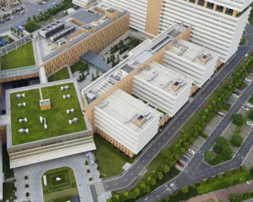 香港dna验血 性别,如何提高试管成功率？只须做好这3点！