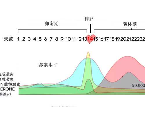 古玩古董广告布,闹闹女巫12星座一周星座运势，25-31