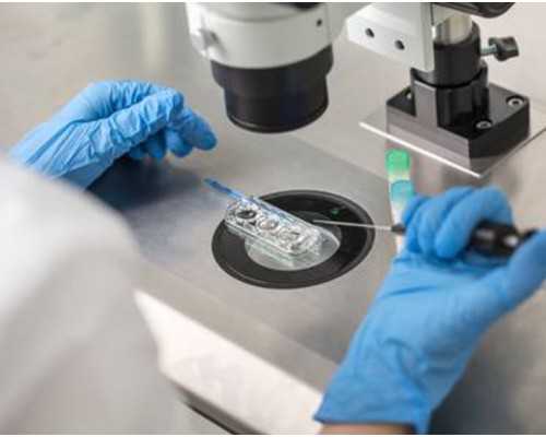 香港验血快递准吗,香港可以做宝宝性别鉴定的医院_几个y才是男的该如何预约？