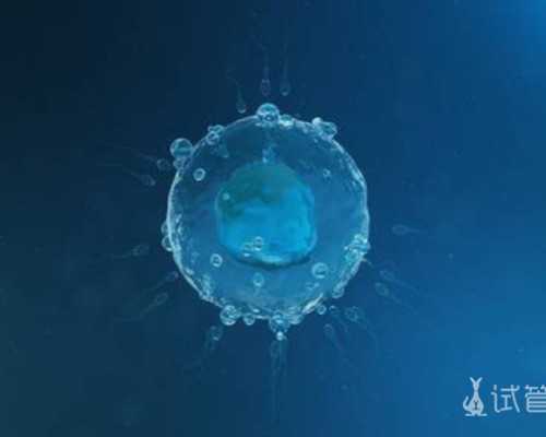 香港验血几周最准,做试管婴儿主要有几个过程步骤