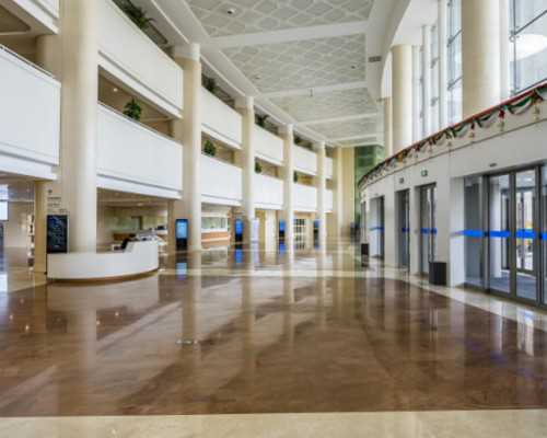 香港验血男女在哪里,美国​试管婴儿进入周期前提高卵子质量有方法