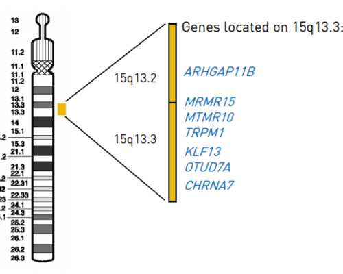 在香港诊所验血是真的吗,不孕不育男性查什么确诊男性不育需要检查哪几个项