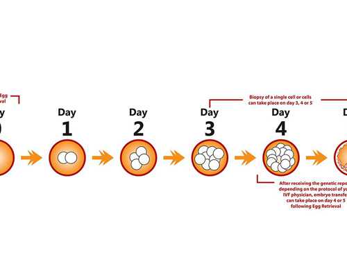 衡水古玩市场大集时间,如何看懂自己的八字命盘学会读象