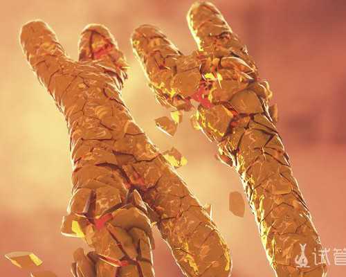 天涯社区 香港验血_香港验血报告结论,原来你不知道的还有这么多?