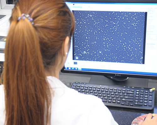 古玩鉴定交易中心杭州,属猪白羊座和属兔天秤座会幸福吗缘分怎么样