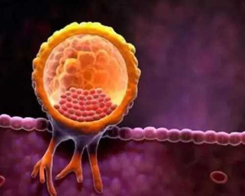 香港验血70天了准吗,女性输卵管结扎后可以做试管婴儿吗?