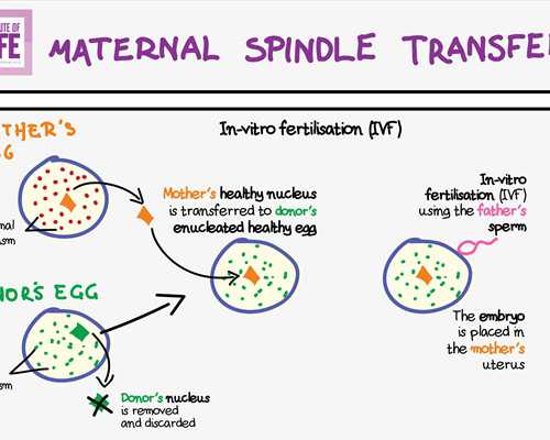 古玩人生有声小说免费版,天蝎座男生和处女座可能在一起吗会幸福吗