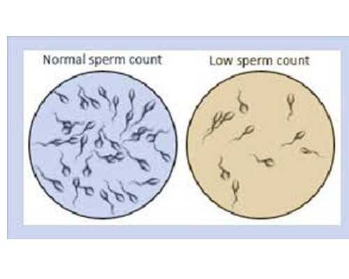 香港验血邮寄快递,试管婴儿和自然受孕的孩子智力会有差别吗？