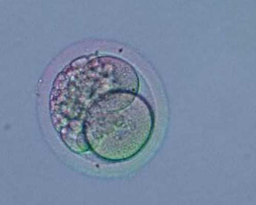 古玩收藏视频收藏小哥,梦见钗、金钗