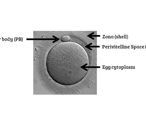 验血寄过去香港靠谱吗_香港验血直通车_让亲历者用事实来讲述真相