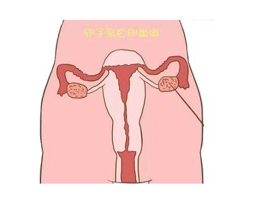 香港博爱医院验血_香港验血13个还是16个_验血查男女哪机构个最准