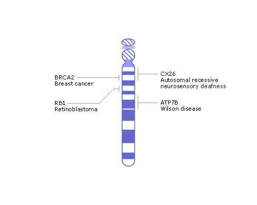 孕12周还能做香港验血吗,备孕孕酮什么时候检查