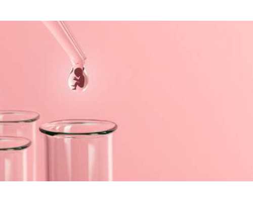 古玩鉴定平台有什么骗术,你减肥不成功肯定是因为不知道这些