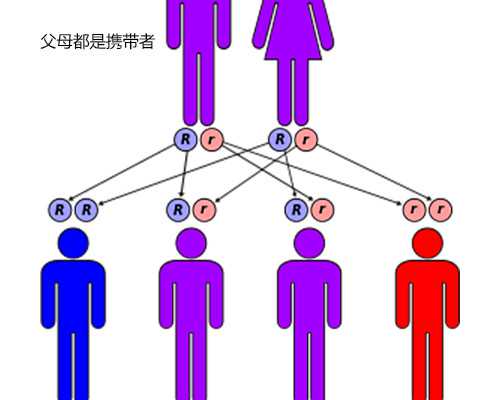 香港验6周能验血吗,试管婴儿怎么做？专家：4步流程要了解，祝你心中有数好孕
