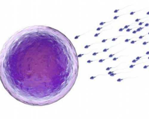 怀孕40天香港验血男女准吗,到香港验血查性别_验血没y生了男孩还是女孩