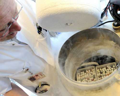 孕六周香港验血条件,怀孕备孕时只要把握住这3个关键点，成功备孕生男生女就