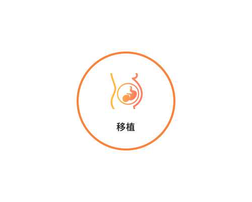 古玩虫全集在线观看第6集,快走有助于减肥吗